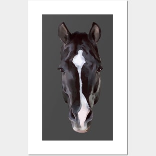 Valegro Face Marking Posters and Art